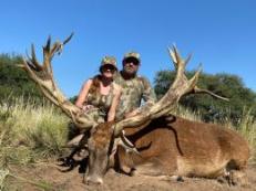 Big Red Stag in Argentina