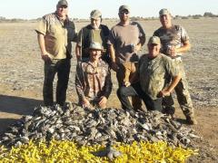 Birds from a high-volume dove shoot.