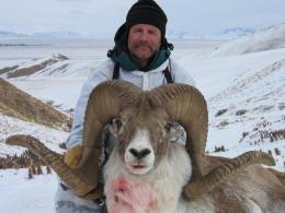 Trophy Marco Polo Argali