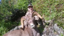 Snow Sheep Trophy Hunt in Russia
