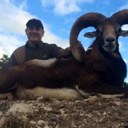 Big Texas Trophy Audad