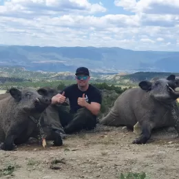 hunt wild boar in turkey