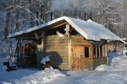 Russian Moose hunt cabin