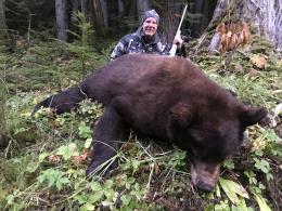 Large Black bear Trophy
