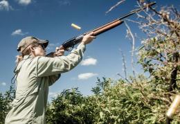 High Bolume Dove Shooting in Argentna