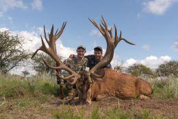 Trophy Red Stag in Argentina