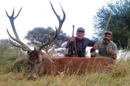 Free-Range Red Stag Trophy in Argentina