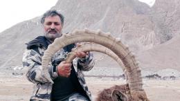 Massive Himalayan Ibex Trophy in Pakistan