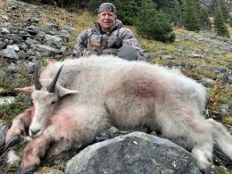 British Columbia Mountain Goat Trophy