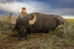 TRophy Argentina Water Buffalo
