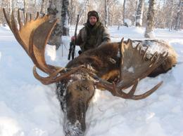 Trophy Kamchatka Moose