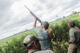 high volume wing shooting argentina