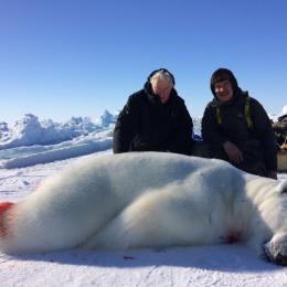 Polar Bear Trophy
