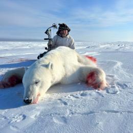 Polar Bear trophy taken with a bow