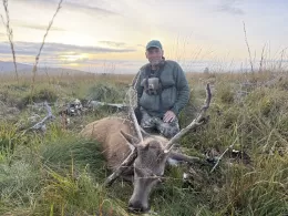 scottish stag hunt