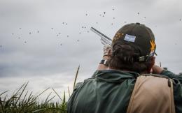 Hunt Dove in South America