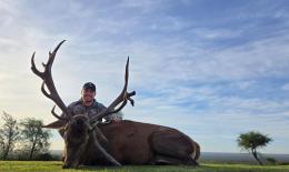 Argentina Hunt for Red Stag