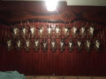 Euro Mounts
