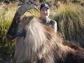 Nice Trophy tahr with huntress