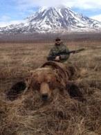 Big late season Russian Brown Bear