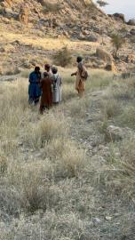 Blanford Urial Terrain