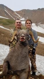Trophy Snow Sheep Hunt