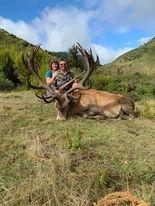 Discounted Red Stag and Tahr hunt in New Zealand