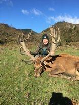 400 inch red stag trophy 1