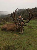 Big Red Deer