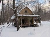 Kamchatka Moose Camp