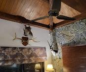 huntjab urial hunt camp