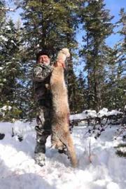 A good lynx to be proud of!