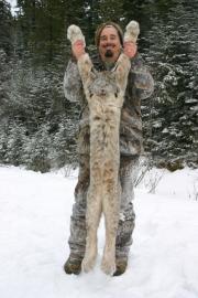 Giant Lynx taken in Canada