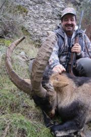 Agood Ibex in Spain