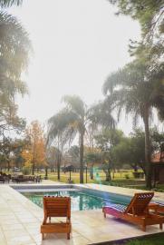 high volume dove hunt lodge