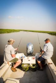 Golden Dorado Fishing South America