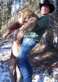 Mountain lion in British Columbia