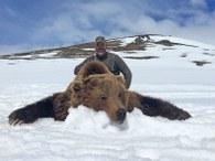 Another nice brown bear taken in Kamchatka