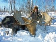 Huge Russian Moose trophy in Kamchatka
