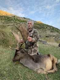 Giantt trophy Fallow Deer in New Zealand