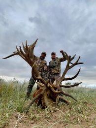 Monster Red Stag