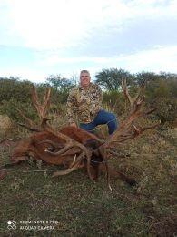 A great red stag trophy!