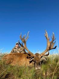 Nice trophy stag taken in La Pampas Argentina