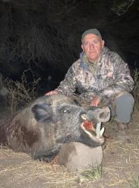 Argentina Free-Range boar
