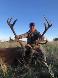 south american free range red stag hunt