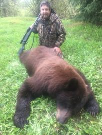 British Columbia Black Bear Cinamon Bear