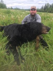 BC Black Bear Trophy