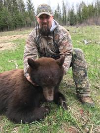 Canadian Black Bear Trophy