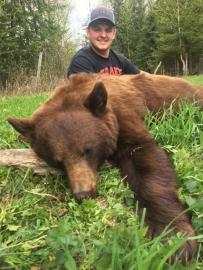 British Columbia Black Bear TRophy