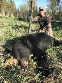 Hunt Black bear in British Columbia